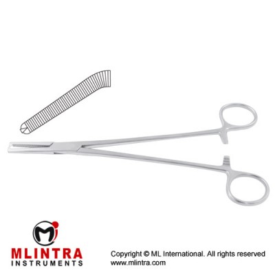 Phaneuf Hysterectomy Forcep Curved - 1 x 2 Teeth Stainless Steel, 20 cm - 8" Phaneuf Hysterectomy Forcep Curved - 1 x 2 Teeth Stainless Steel, 20 cm - 8"
